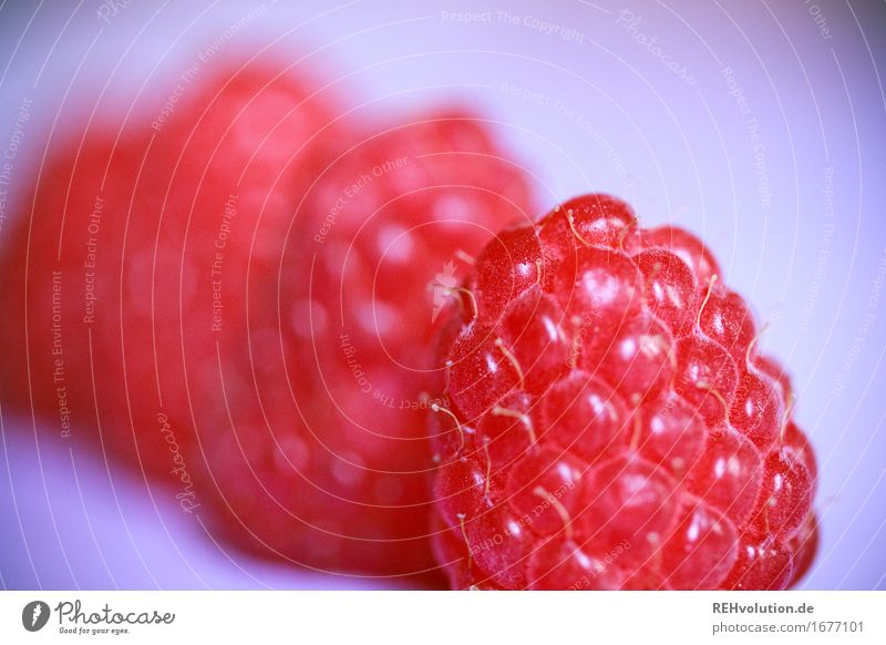 Himbeeren Lebensmittel Frucht Ernährung Gesundheit Gesunde Ernährung genießen lecker rot Beeren fruchtig Sommer Geschmackssinn Farbfoto Innenaufnahme