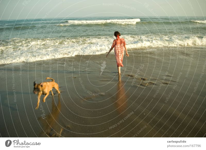 Farbfoto Außenaufnahme feminin Frau Erwachsene 1 Mensch Natur Strand Wellen mediterran Andalusien Marbella Spanien