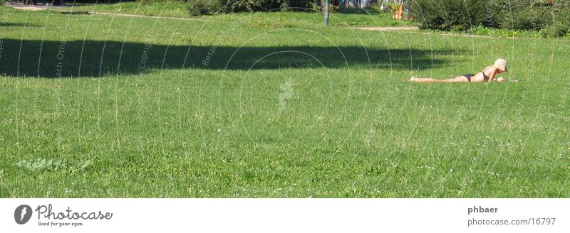Bauchlage im Herrngarten Frau lesen Bikini Darmstadt Park grün Pflanze Gras Wiese Licht Freiraum Hut Natur Rasen Erholung Sonne Schatten liegen