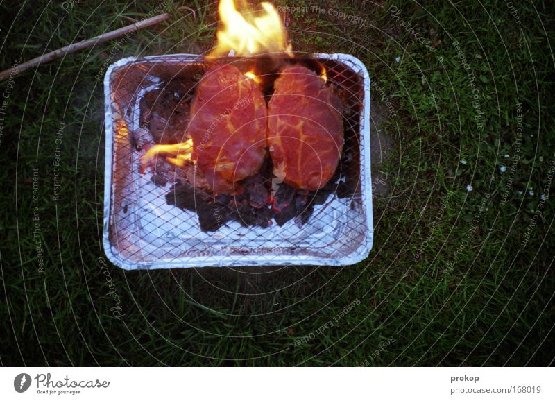 Burn Motherfucker Burn Farbfoto Außenaufnahme Menschenleer Abend Dämmerung Starke Tiefenschärfe Vogelperspektive Lebensmittel Fleisch Ernährung Abendessen