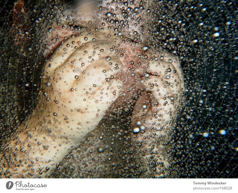 Embryo Unterwasseraufnahme Whirlpool Schwimmen & Baden Schwimmbad Kind Mensch Baby Kindheit Kopf Wasser schwanger Gefühle Glück Vorfreude Stolz Geborgenheit
