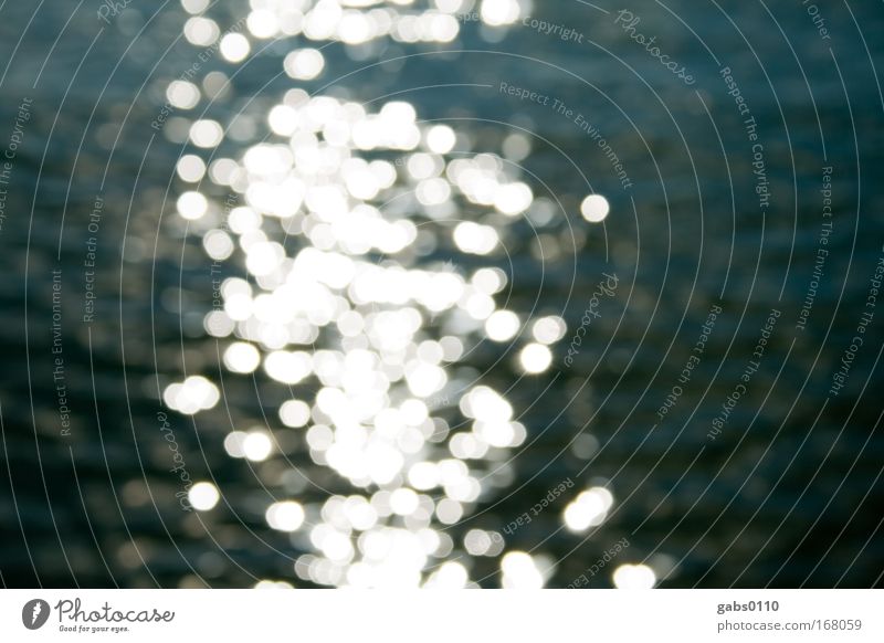 Glitzer Farbfoto Außenaufnahme Menschenleer Textfreiraum rechts Tag Licht Kontrast Reflexion & Spiegelung Lichterscheinung Sonnenlicht Unschärfe Umwelt Wasser