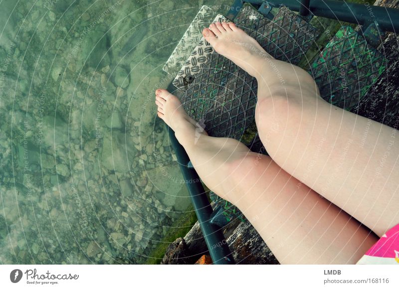 Noch zu kalt Farbfoto Außenaufnahme Textfreiraum links Tag Vogelperspektive feminin Junge Frau Jugendliche Beine Fuß 1 Mensch Sommer Schönes Wetter Küste See