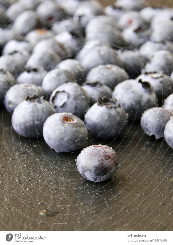heidelbeerig Lebensmittel Frucht Bioprodukte frisch Gesundheit Erotik blau schwarz Blaubeeren Beeren Bodenplatten Wassertropfen Ernte Farbfoto Innenaufnahme