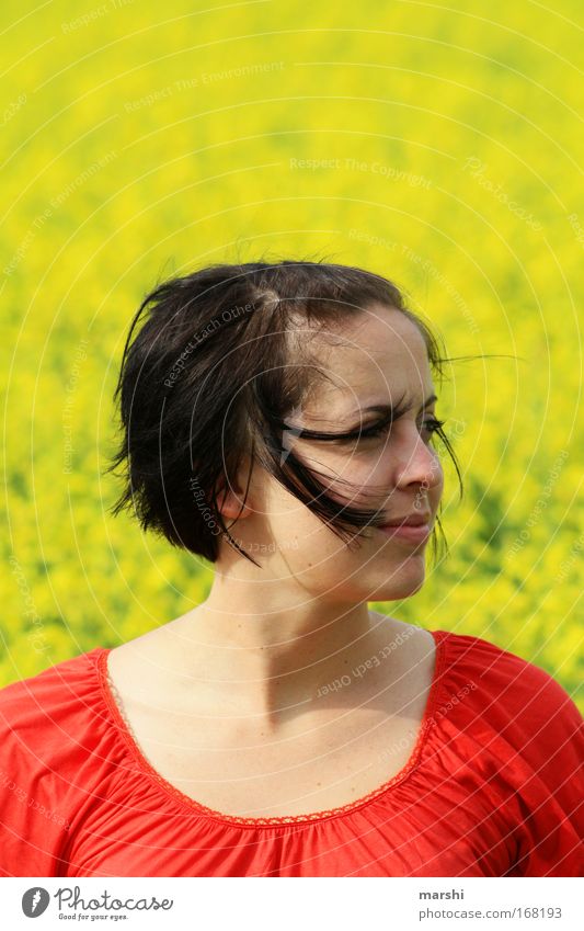 durch den Wind Farbfoto Außenaufnahme Porträt Mensch feminin Frau Erwachsene Haare & Frisuren Gesicht Natur Landschaft Wiese Gefühle Stimmung Glück Lebensfreude
