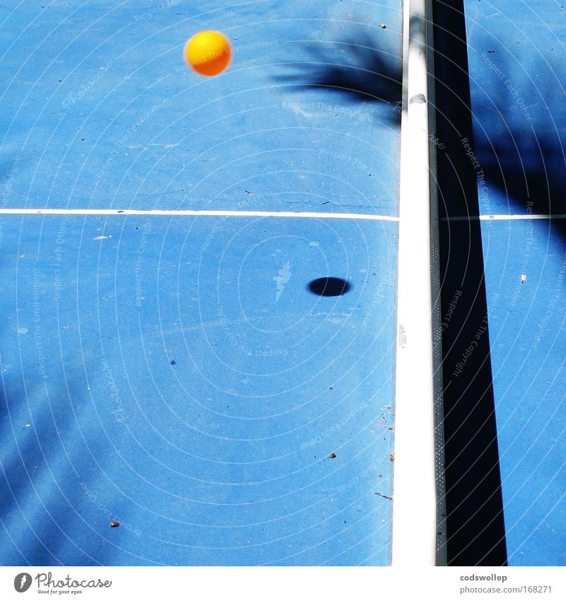 CDR of 0.88 Sonnenlicht Tischtennisplatte Sport Ball Linie Spielen blau Tischtennisball fliegen Sportveranstaltung pingpong wiff waff Außenaufnahme