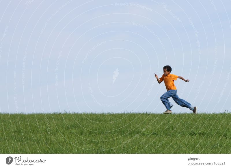 Anlauf nehmen (Junge, der über eine Wiese läuft) Mensch maskulin Kind Jugendliche 1 Umwelt Natur Landschaft Pflanze Luft Himmel Frühling Gras laufen rennen