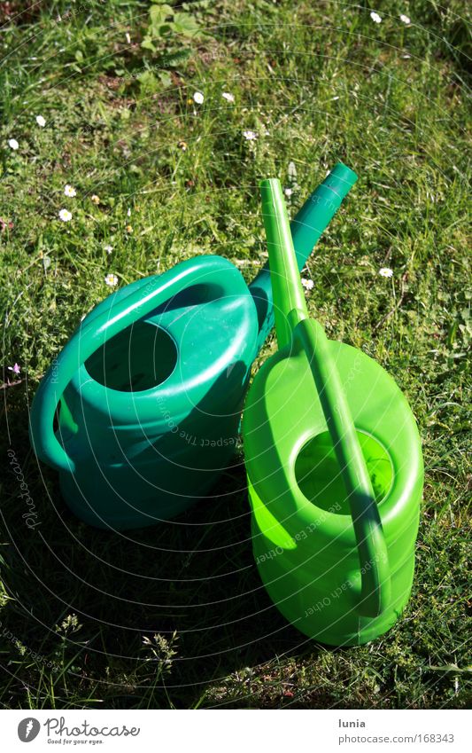 Grüne Gießkannen Farbfoto Außenaufnahme Garten Kunststoff Lust Sportrasen Wiese Gras Tag