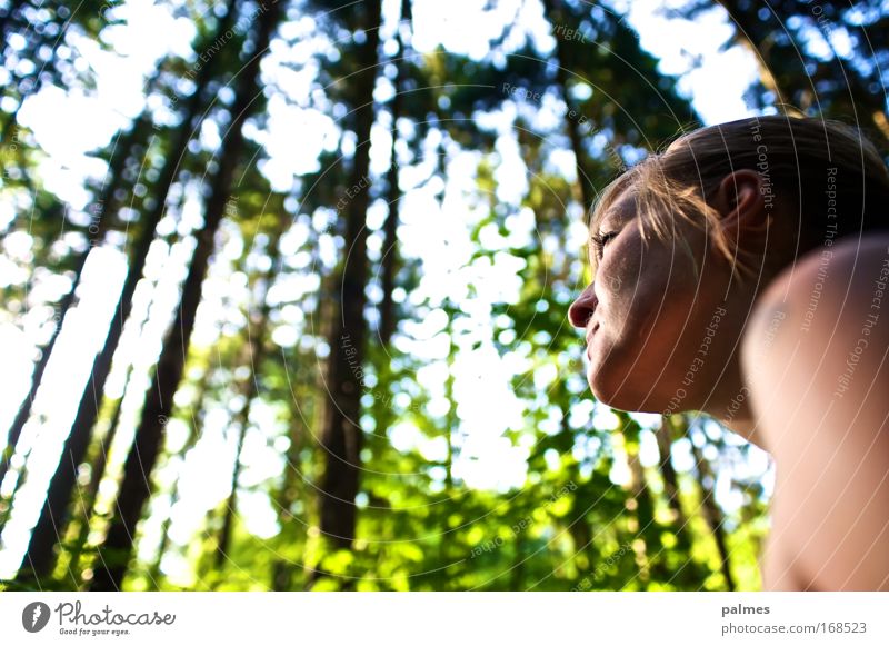 Waldgesicht Mensch feminin Junge Frau Jugendliche Kopf 1 18-30 Jahre Erwachsene Umwelt Natur Tier Sonne Sonnenlicht Frühling Sommer Baum Blatt Urwald genießen