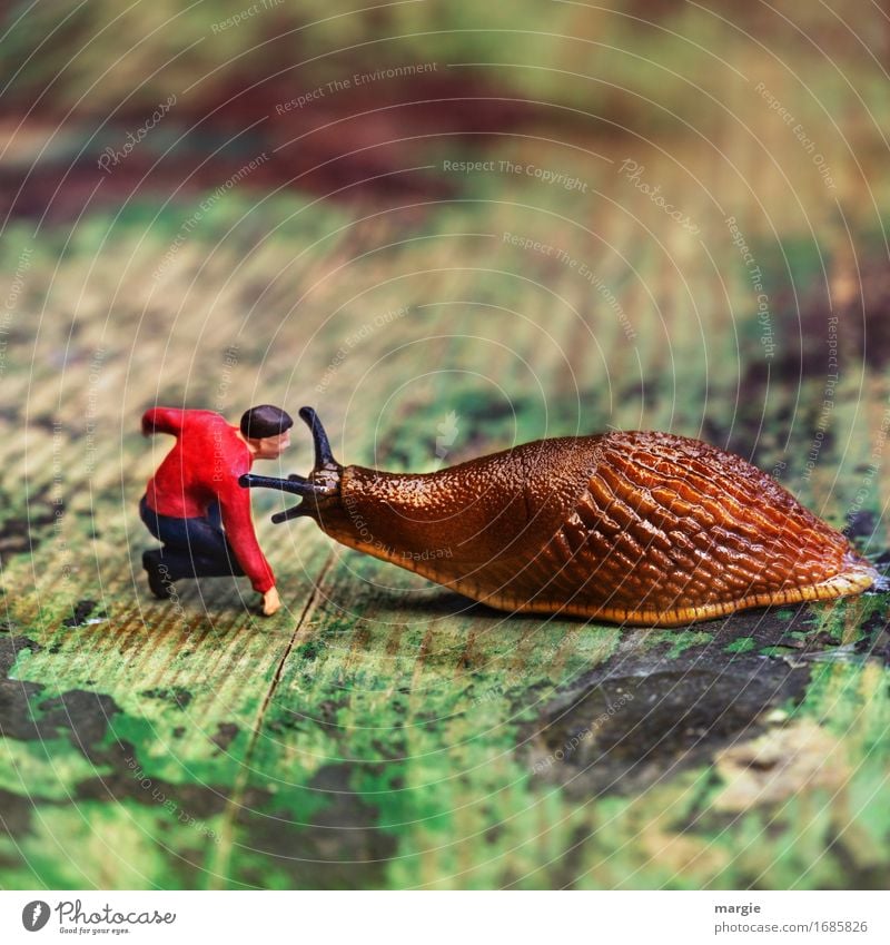 Miniwelten - Hypnotiseur Mensch maskulin Mann Erwachsene 1 Tier Wildtier Schnecke Tiergesicht beobachten knien Kommunizieren grün rot Quadrat Nacktschnecken