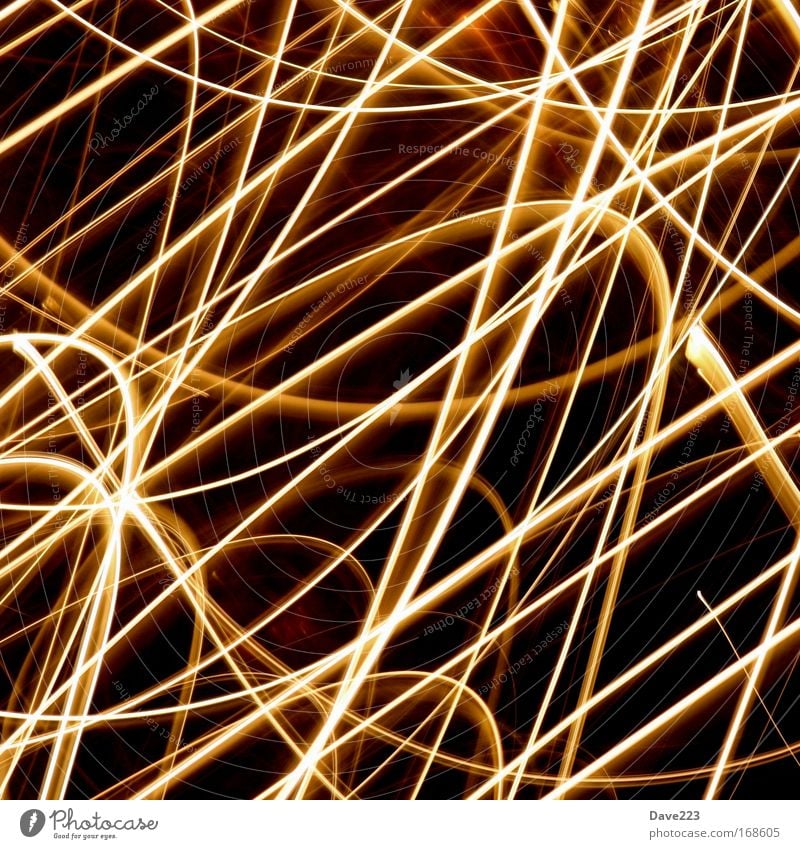 Jahrestreffen der Glühwürmchen Farbfoto Innenaufnahme Experiment abstrakt Menschenleer Nacht Licht Lichterscheinung Langzeitbelichtung Bewegungsunschärfe Feuer