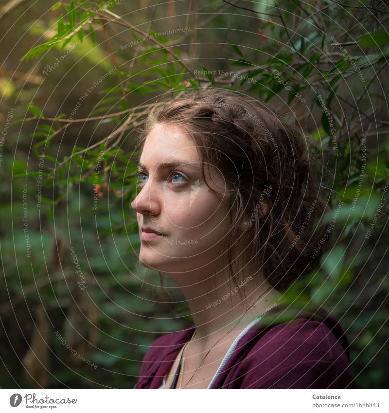 Durchblick, Porträt einer jungen Frau in dichter Vegetation Ausflug Ferne Sommer wandern feminin Junge Frau Jugendliche 1 Mensch 18-30 Jahre Erwachsene Natur