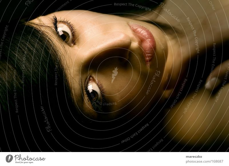 Schattenspiel Farbfoto Studioaufnahme Kunstlicht Porträt elegant schön Kosmetik feminin Frau Erwachsene Haut Haare & Frisuren Gesicht Auge berühren liegen
