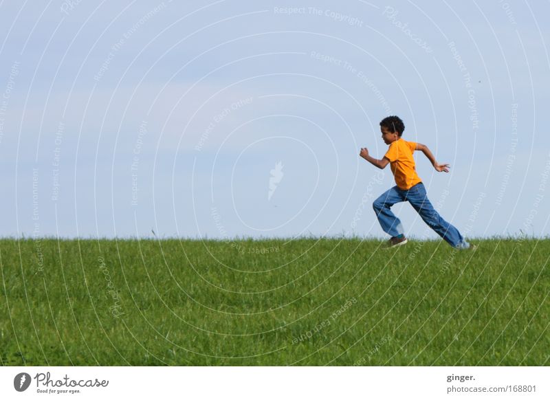 Durchstarten (Junge, der über eine Wiese läuft) Freizeit & Hobby Laufsport Mensch maskulin Kind Jugendliche 1 Natur Landschaft Himmel Frühling Schönes Wetter