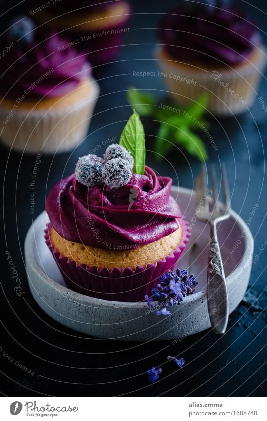 Cupcakes Lebensmittel Frucht Kuchen Dessert Essen genießen dunkel süß violett Muffin Backwaren Speise Foodfotografie verschönern moody availabe light Zucker