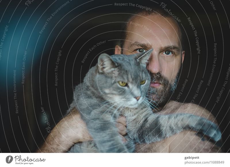 Mann mit Katze auf dem Arm Mensch maskulin Erwachsene Bart 1 Tier Haustier tragen kuschlig natürlich niedlich wild weich blau braun grau Gefühle Einigkeit