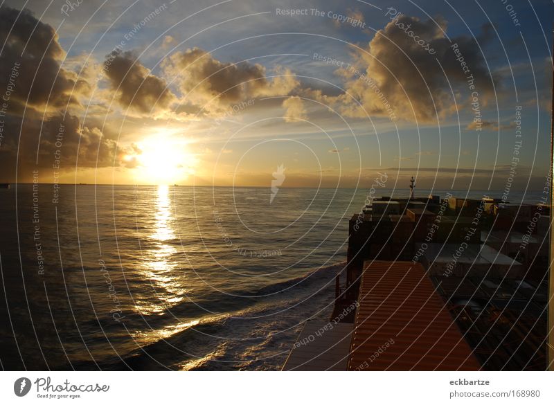 Alianca Maua Farbfoto Außenaufnahme Menschenleer Abend Sonnenlicht Sonnenstrahlen Sonnenaufgang Sonnenuntergang Gegenlicht Starke Tiefenschärfe