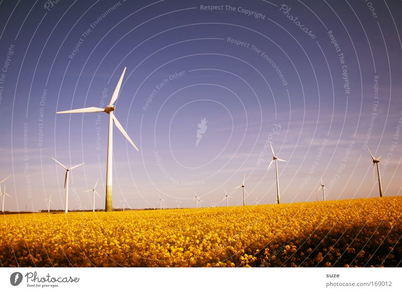 Sommerwind Farbfoto mehrfarbig Außenaufnahme Menschenleer Tag Wirtschaft Industrie Energiewirtschaft Mittelstand Erneuerbare Energie Windkraftanlage