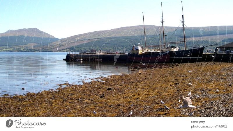 Der Hafen See Schottland Wasserfahrzeug Reflexion & Spiegelung Europa Inveraray Hafen Möwe Amerika Strommast Segel Berge u. Gebirge