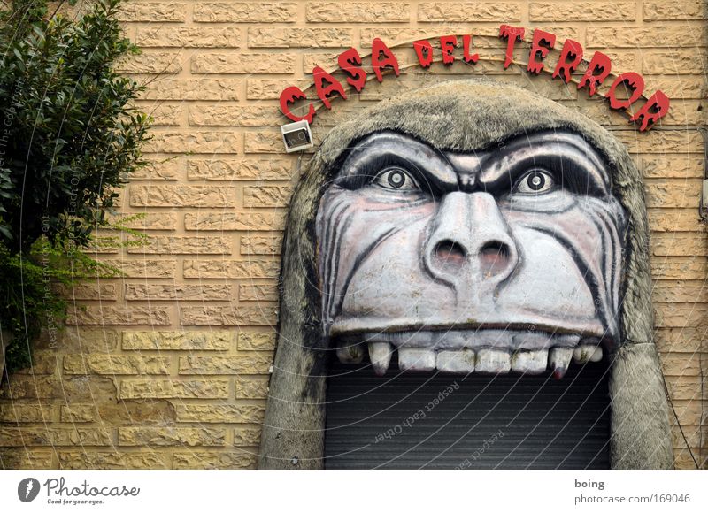 el rey del Congo Außenaufnahme Blick nach vorn Kopf Zirkus Show Mauer Wand Tür Tor Streichelzoo Affen Gorilla Ungeheuer Fressen füttern Aggression bedrohlich