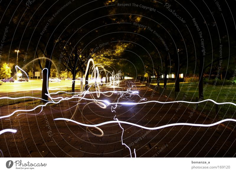 Lichttanz. Farbfoto Außenaufnahme Experiment Menschenleer Textfreiraum oben Kunst Baum fahren glänzend außergewöhnlich Bewegung bizarr chaotisch