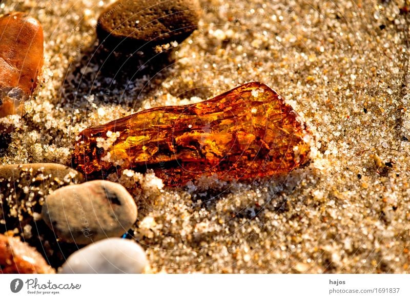 Bernstein am Ostseestrand Alternativmedizin Medikament Strand Sand Stein alt leuchten gelb Fund baltisch Baumharz strahlend Edelstein Halbedelstein Mineralien