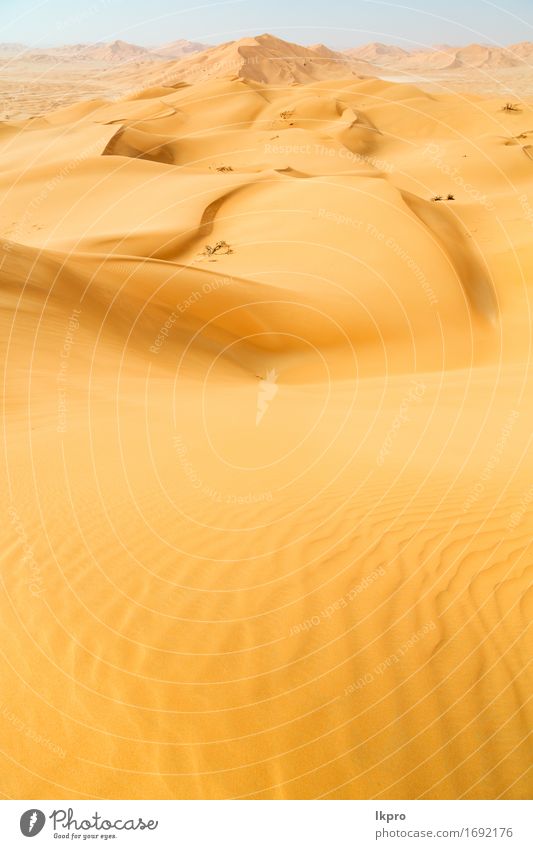 Sanddüne in Oman alten Wüste Rub al khali schön Ferien & Urlaub & Reisen Tourismus Abenteuer Safari Sommer Sonne Natur Landschaft Himmel Horizont Park Hügel