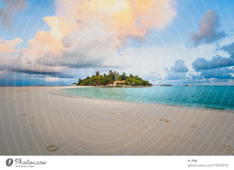 Insel Umwelt Natur Sand Wasser Wolken Sonne Schönes Wetter Palmenstrand Riff Korallenriff Malediven Schwimmen & Baden exotisch blau türkis Gefühle Stimmung