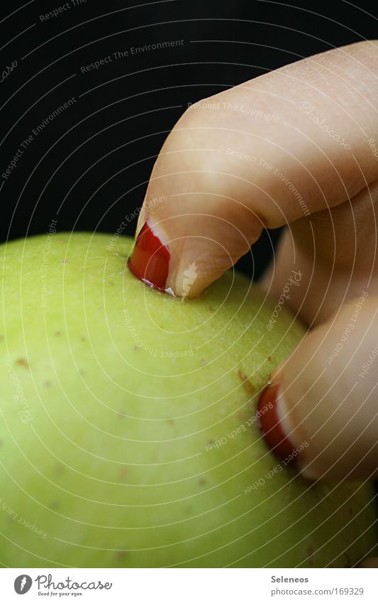 Schneewittchens letzter Kampf Farbfoto mehrfarbig Textfreiraum rechts Textfreiraum oben Tag Lebensmittel Frucht Apfel Ernährung Bioprodukte