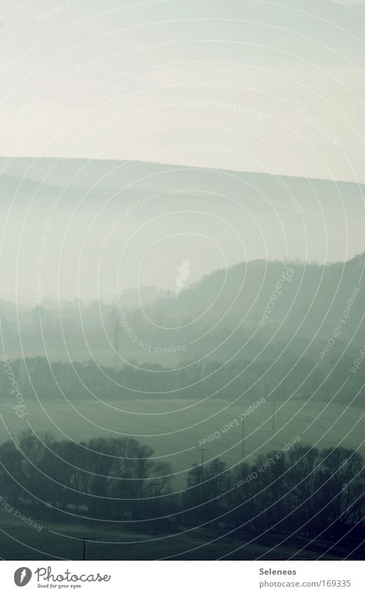 morgendlicher Nebel Farbfoto Außenaufnahme Menschenleer Textfreiraum oben Morgen Morgendämmerung Schatten Kontrast Ferien & Urlaub & Reisen Tourismus Ausflug