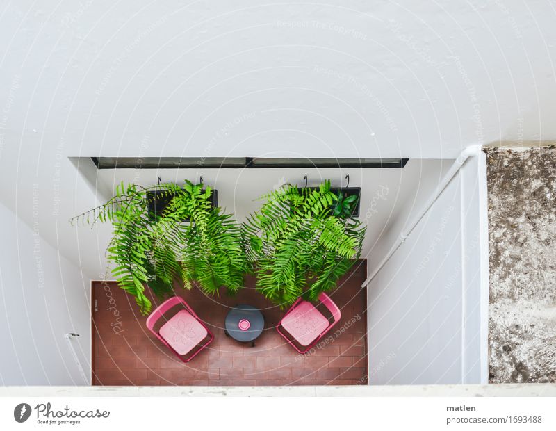 Balkonien Stadt Mauer Wand Fassade Terrasse Fenster eckig grün rot weiß Stuhl Tisch Kunstblume eng Innenhof Farbfoto Außenaufnahme Menschenleer