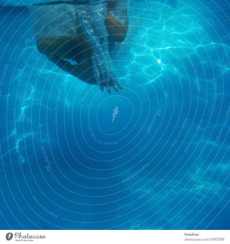 Unterwasser-Art Mensch Haut Hand Finger Beine Fuß 1 Urelemente Wasser Sommer frisch kalt nass blau Schwimmbad Schwimmen & Baden tauchen Ferien & Urlaub & Reisen