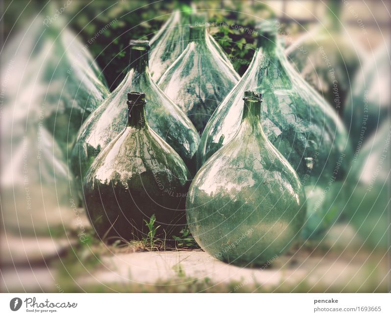 ballonfliegen Kräuter & Gewürze Öl Italienische Küche Getränk Wein Flasche Glas Kultur Container Sammlung nachhaltig natürlich Originalität Gelassenheit