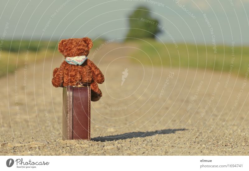 Teddy Per auf Reisen Ferien & Urlaub & Reisen Wege & Pfade Spielzeug Teddybär Koffer wandern Horizont Blick sitzen warten kuschlig klein Freundschaft Romantik