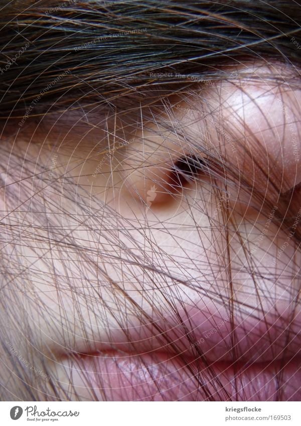Vernetzt Mensch feminin Junge Frau Jugendliche Erwachsene Haut Kopf Haare & Frisuren Gesicht Nase Mund Lippen 1 18-30 Jahre brünett langhaarig authentisch