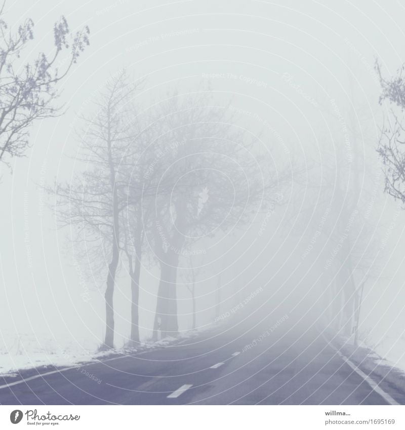 Leere Landstraße im Nebel, schlechte Sicht und Glatteis Straße kalt Winter kahl Allee Schnee Unfallgefahr Menschenleer trüb neblig