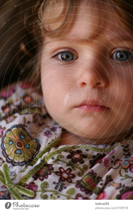 kleine träumerin Farbfoto Außenaufnahme Tag Sonnenlicht Porträt Oberkörper Vorderansicht Blick Blick nach vorn Mensch Kind Kleinkind Mädchen Kindheit Kopf