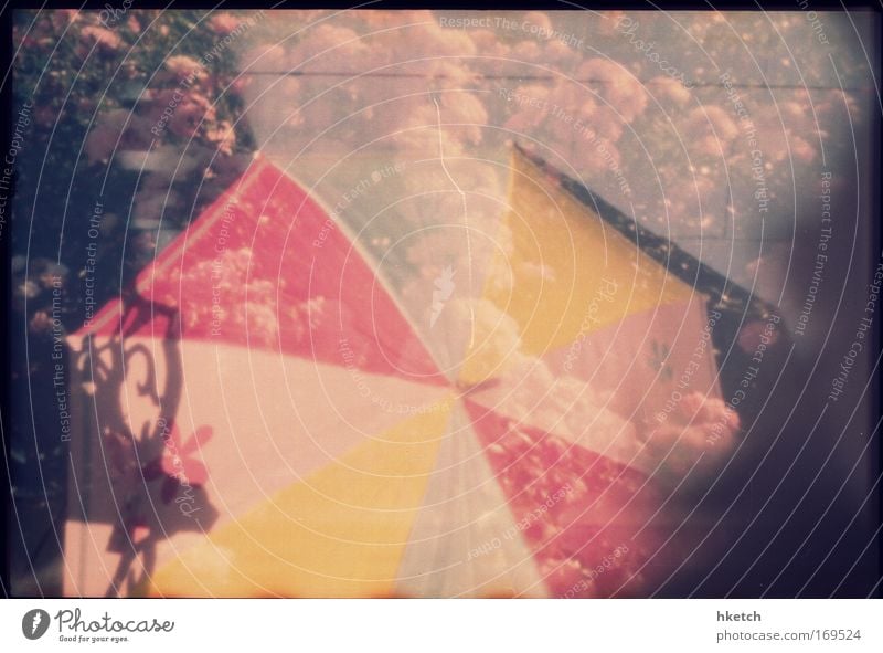 One Thousand Umbrellas Farbfoto Gedeckte Farben Außenaufnahme Experiment Menschenleer Morgen Licht Schatten Lichterscheinung Langzeitbelichtung Unschärfe Stil