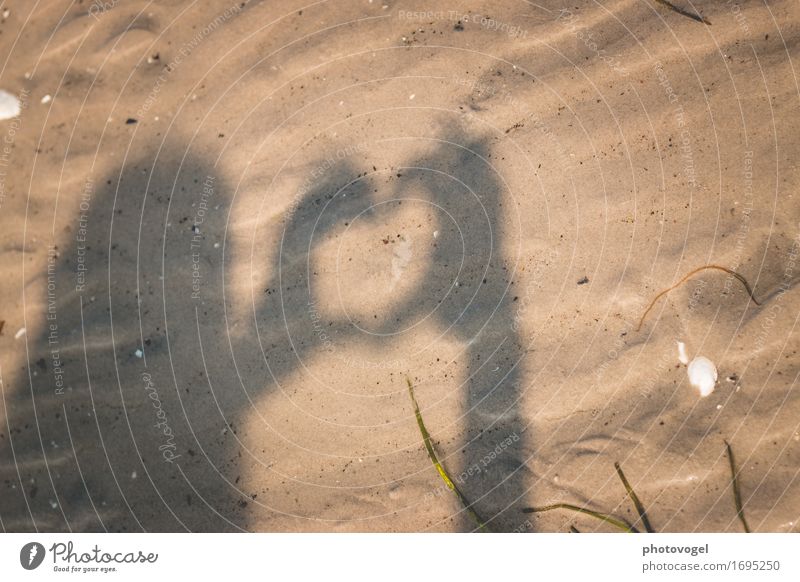 Schattenspiel Natur Erde Sand Strand Zeichen Herz braun Partnerschaft Gefühle Silhouette Spielen Freiheit Liebe Farbfoto Außenaufnahme Experiment Menschenleer