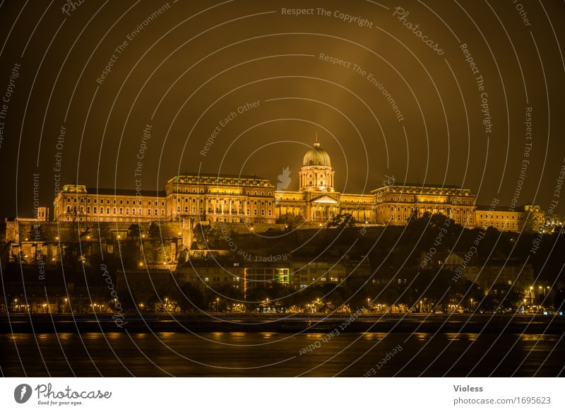 Burgpalast Altstadt Bauwerk Architektur Sehenswürdigkeit Wahrzeichen Denkmal alt dunkel gold Donau Budapest Beleuchtung Nachtaufnahme Langzeitbelichtung