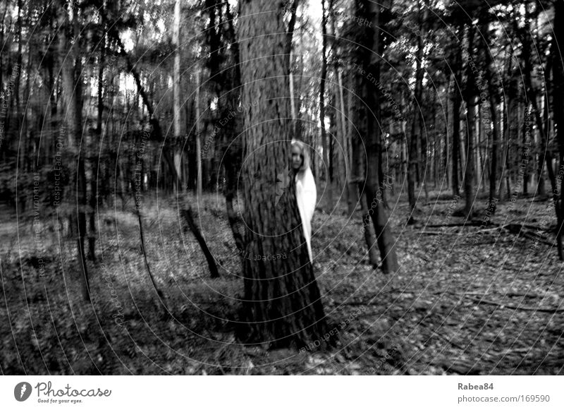 Feenzauber Schwarzweißfoto Außenaufnahme Dämmerung Blick feminin 1 Mensch Natur Baum Wald beobachten dunkel Neugier grau schwarz Stimmung Schutz Interesse Angst