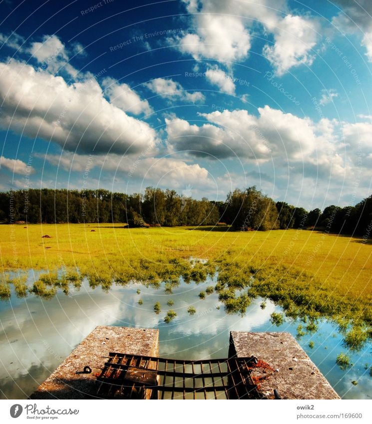 Flusensieb Umwelt Natur Landschaft Pflanze Urelemente Erde Luft Wasser Himmel Wolken Horizont Frühling Klima Schönes Wetter Baum Gras Seeufer blau mehrfarbig