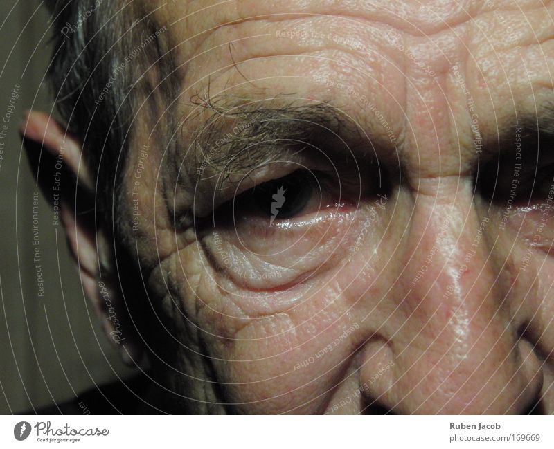 Gesichter können Geschichten erzählen Farbfoto Nahaufnahme Kunstlicht Schatten Porträt Blick in die Kamera Blick nach vorn Mensch maskulin Männlicher Senior