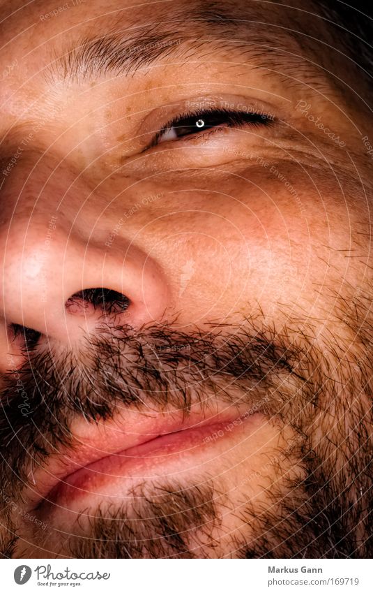 Mann mit Bart Farbfoto Makroaufnahme Blitzlichtaufnahme Porträt Blick in die Kamera Zwinkern Gesicht Mensch maskulin Erwachsene Kopf Haare & Frisuren Auge Ohr