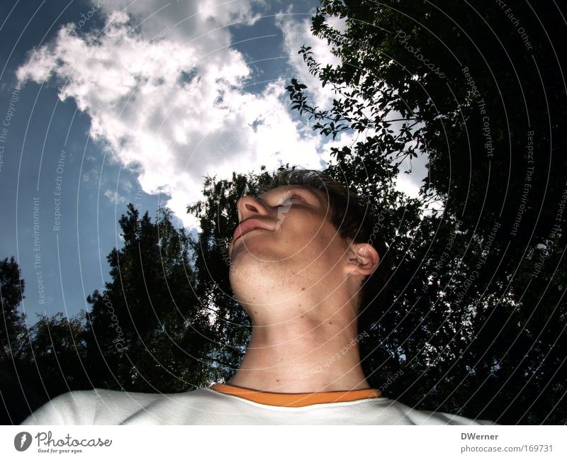 Himmelsgucker Lifestyle Gesicht Erfolg Sonnenenergie Mensch maskulin Junger Mann Jugendliche Kopf Nase Mund 1 18-30 Jahre Erwachsene Natur Wolken Nachthimmel