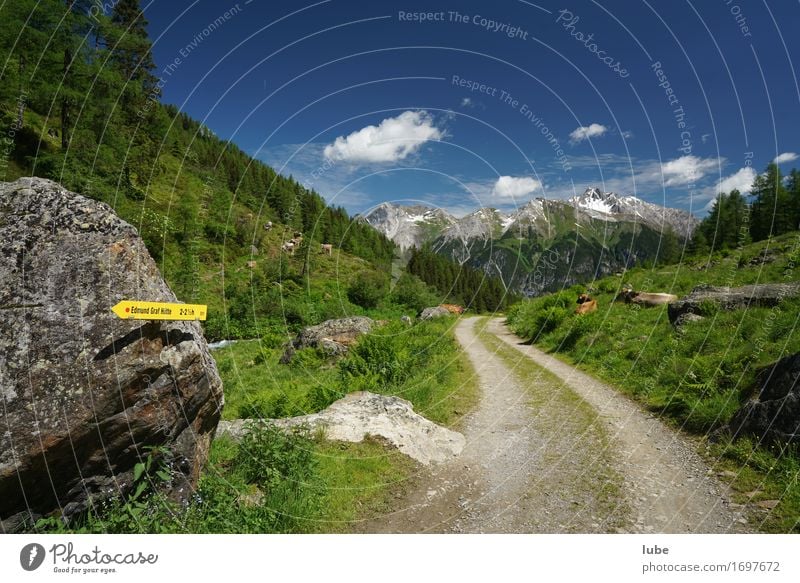 Malfonalm 4 Ferien & Urlaub & Reisen Tourismus Sommer Sommerurlaub Berge u. Gebirge wandern Umwelt Natur Landschaft Klima Schönes Wetter Hügel Felsen Alpen