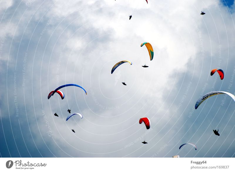 Rudel mehrfarbig Außenaufnahme Textfreiraum links Tag Sonnenlicht Blick nach oben Sportler Gleitschirmfliegen Mensch Fluggerät Pilot Lebensfreude Konkurrenz