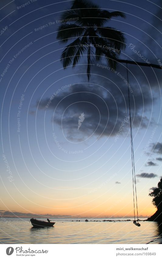 Fiji Sunset Farbfoto Außenaufnahme Sonnenaufgang Sonnenuntergang Strand Meer Insel Erholung Freiheit Reichtum stagnierend ruhig Paradies