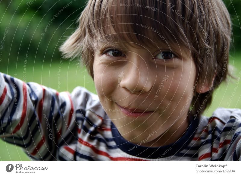 Unschuldig. Farbfoto Außenaufnahme Tag Schatten Kontrast Schwache Tiefenschärfe Blick in die Kamera Mensch maskulin Kind Junge Jugendliche Haut Kopf