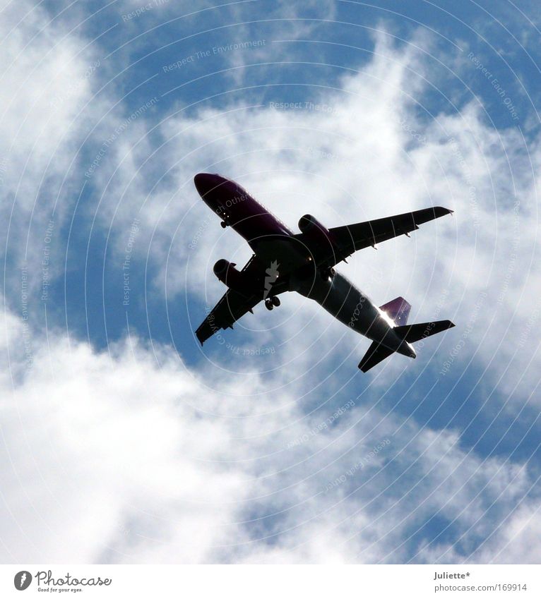 Auf in den Süden! Farbfoto Außenaufnahme Tag Silhouette Luft Himmel Wolken Sommer Schönes Wetter An Bord Luftverkehr Flugzeug Passagierflugzeug Glück Vorfreude